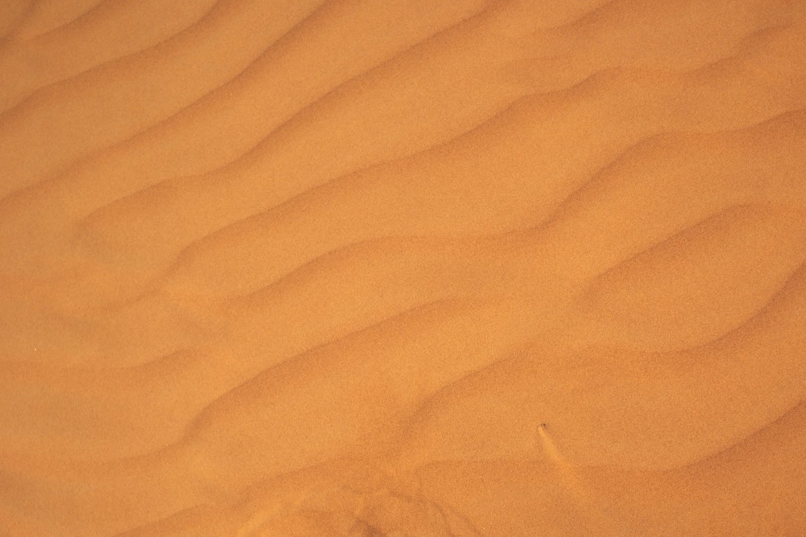 a person's feet in the sand of a desert